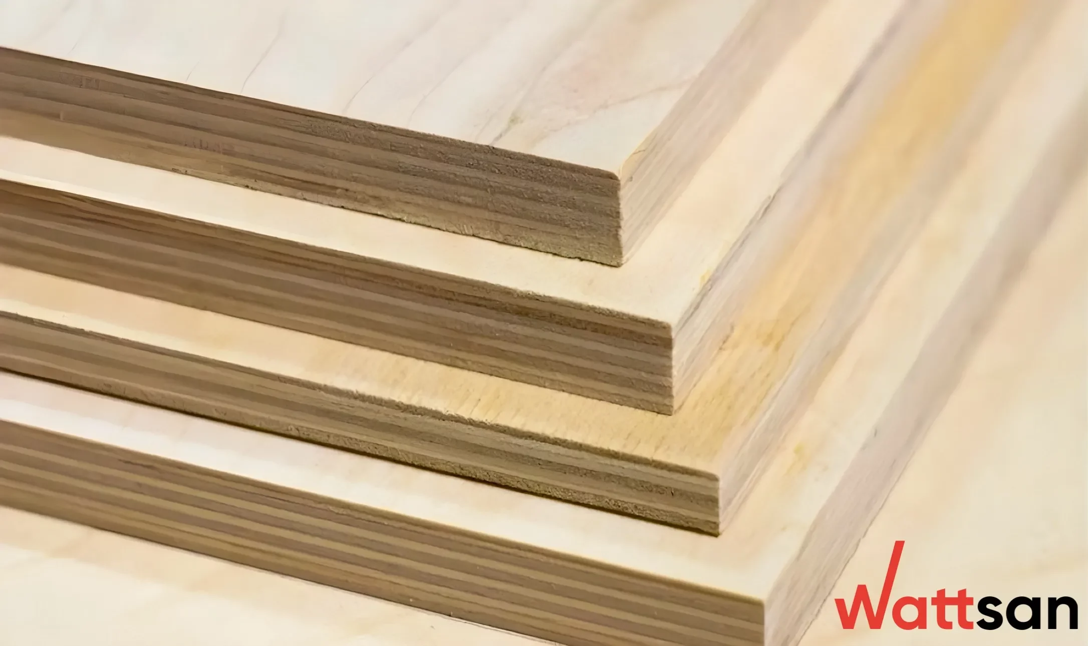 《禁忌3》大结局 plywood milling