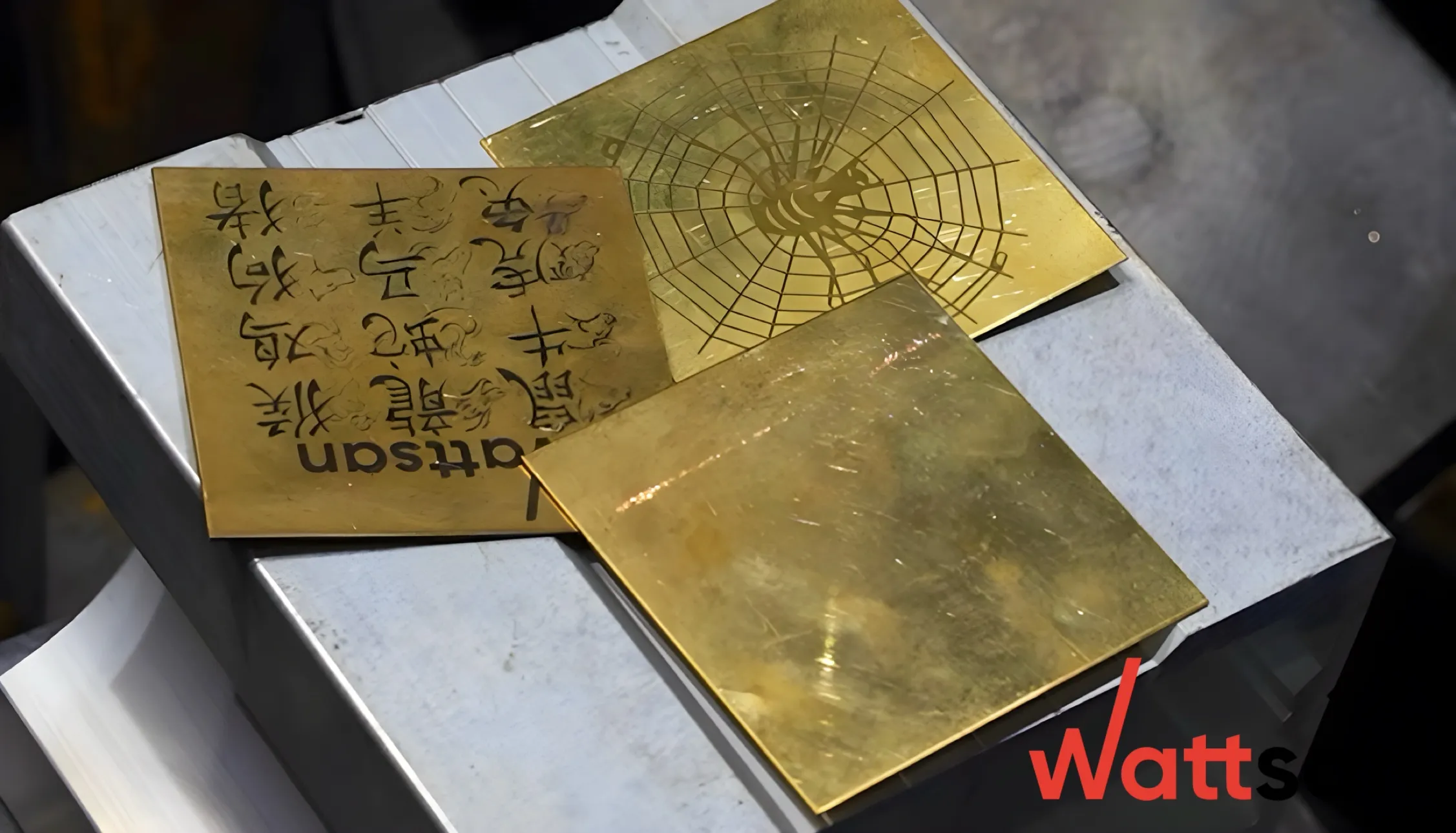 国产视频一区二区 CW Pro at SPS